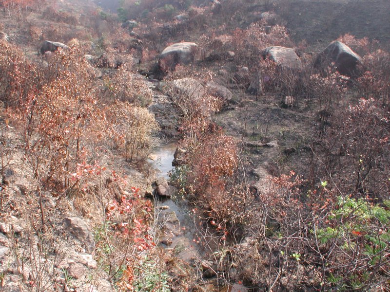 sn2.jpg